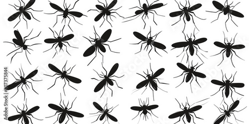 Group of mosquitos on a plain white background. Perfect for illustrating insect infestations