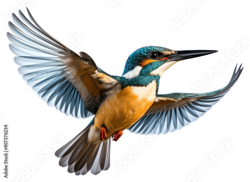 PNG Common flying kingfisher animal bird beak.