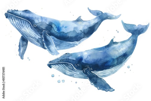 Majestic blue whales swimming in the ocean, perfect for nature and wildlife themes