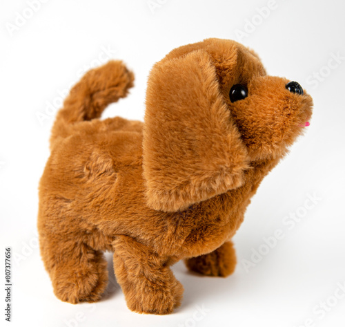 A stuffed dog toy. Cute toy puppy shot on a gray background
