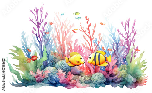 PNG Fish underwater aquarium outdoors.