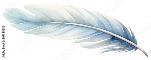 PNG Feather white lightweight accessories. photo