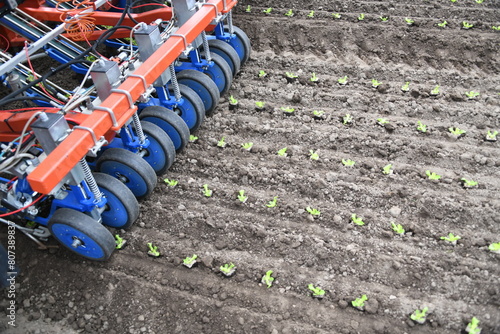 Pflanzmaschine Bänderpflanzmaschine Pflanze Pflanzen Jungpflanzen Aussaat Saat Maschine Acker Ackeranbau Bio Biobauer Salat Zyer Pflanzabstand. Es können 3000 Pflanzen pro Stunde gepflanzt werden
