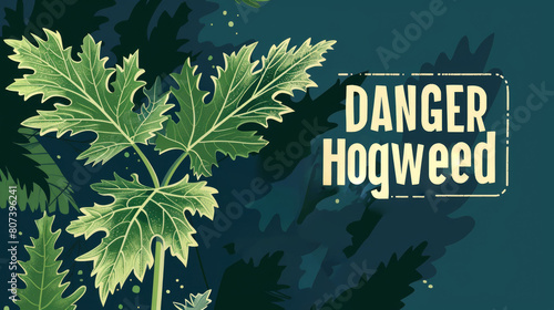 A Giant Hogweed leaf surrounded by lines symbolizing the danger and toxicity of the plant photo