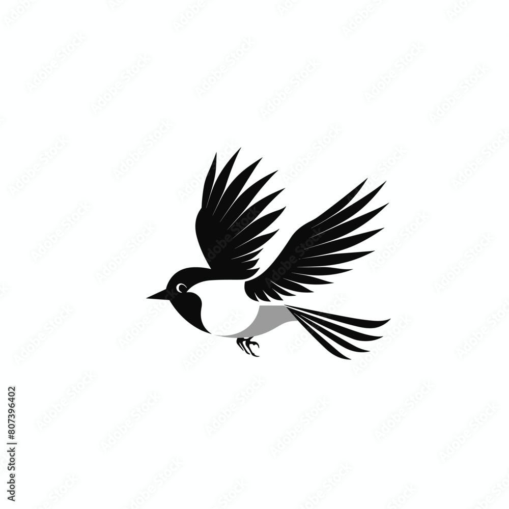 Fototapeta premium Black and white bird illustration in mid-flight on a clean white background.
