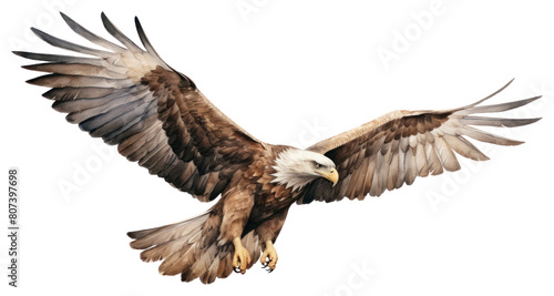 PNG Vulture animal flying bird. © Rawpixel.com