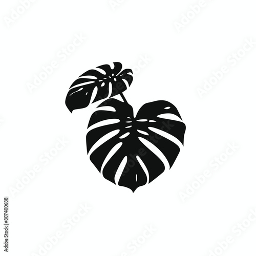 Silhouette of monstera leaves in black against a white background.