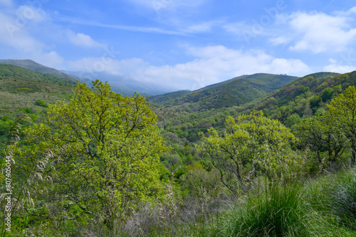 The Italian landscape of the province of Caserta.