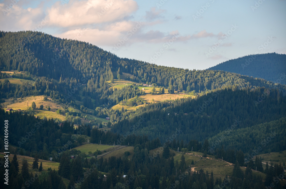 The image portrays a tranquil summer landscape featuring rural houses on the grasslands, lush green rolling hills and mountains are covered dense forests. Carpathians, Ukraine