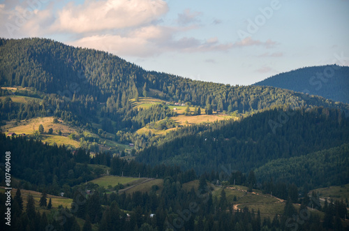 The image portrays a tranquil summer landscape featuring rural houses on the grasslands  lush green rolling hills and mountains are covered dense forests. Carpathians  Ukraine