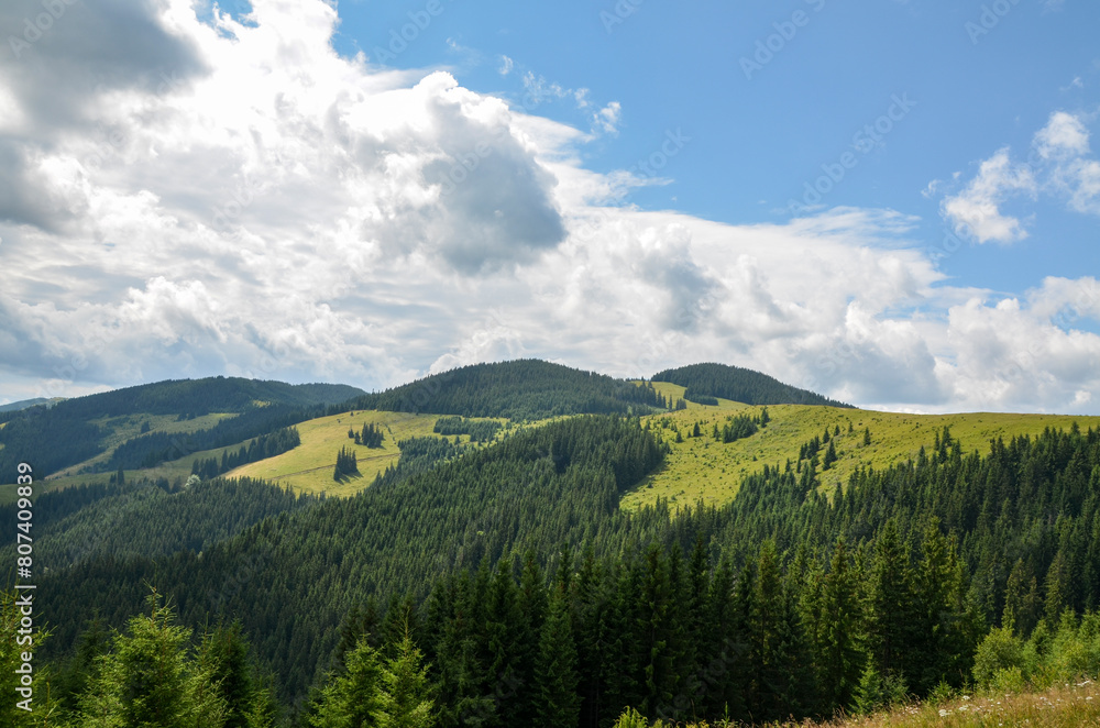 Picturesque landscape featuring lush green rolling hills covered in dense forests, displaying various shades of green under blue sky with clouds. Carpathian Mountains, Ukraine Picturesque landscape featuring lush green rolling hills covered in dense forests, displaying various shades of green under blue sky with clouds. Carpathian Mountains, Ukraine