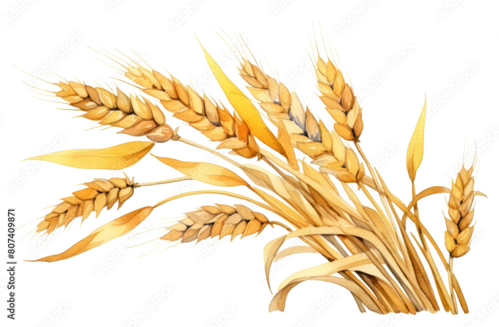 PNG Wheat food invertebrate agriculture. PNG Wheat food invertebrate agriculture.