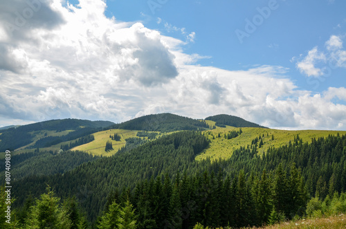 Picturesque landscape featuring lush green rolling hills covered in dense forests, displaying various shades of green under blue sky with clouds. Carpathian Mountains, Ukraine 
