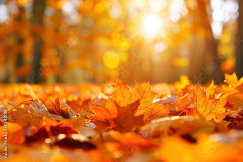 orange fall leaves in park  sunny autumn natural background - generative ai