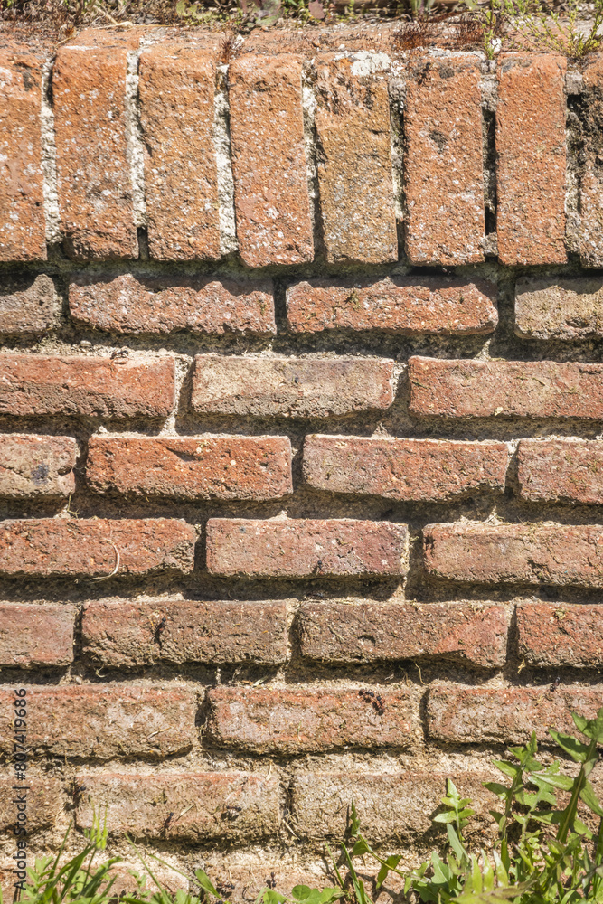 Obraz premium Terracotta brick wall, vector texture background