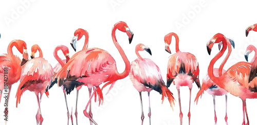 PNG  Flamingos border animal nature bird. #807427881