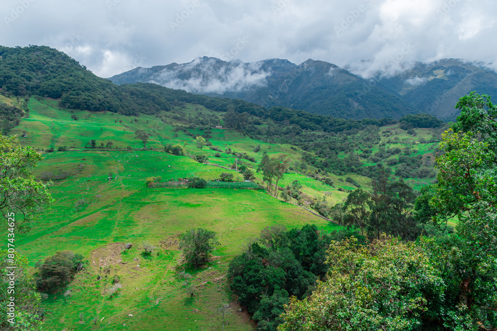 Naklejka premium WOODED WATERLAND LANDSCAPE IN COLOMBIA WITH CATTLE GRASSLANDS IN THE LOWER PART OF THE MOUNTAIN