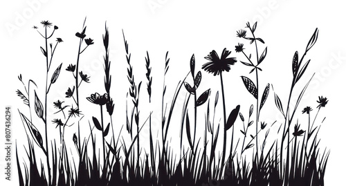 PNG Easy doodles drawings of simple grass illustrated asteraceae silhouette. © Rawpixel.com