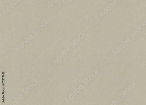 Seamless tana, ash, eagle natural pattern hot pressed vintage paper texture. Modern detailed decorative pressed paper background. photo