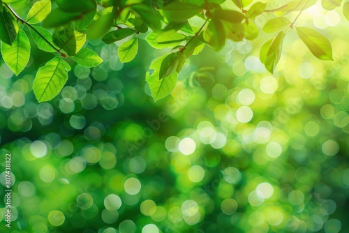 Green texture background  Photos blurred and bokeh under the tree  Fresh nature healthy or bio concept - generative ai