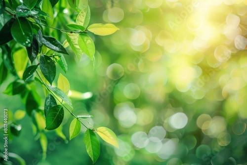 Green texture background  Photos blurred and bokeh under the tree  Fresh nature healthy or bio concept - generative ai