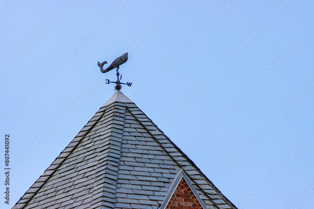 Weather vane whale Weather vane whale
