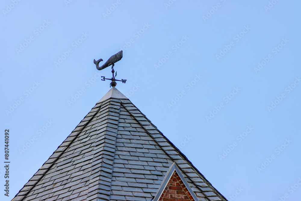 Weather vane whale