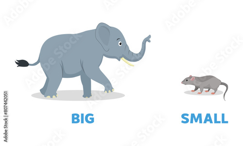 Opposite antonym words big and small illustration of elephant and rat