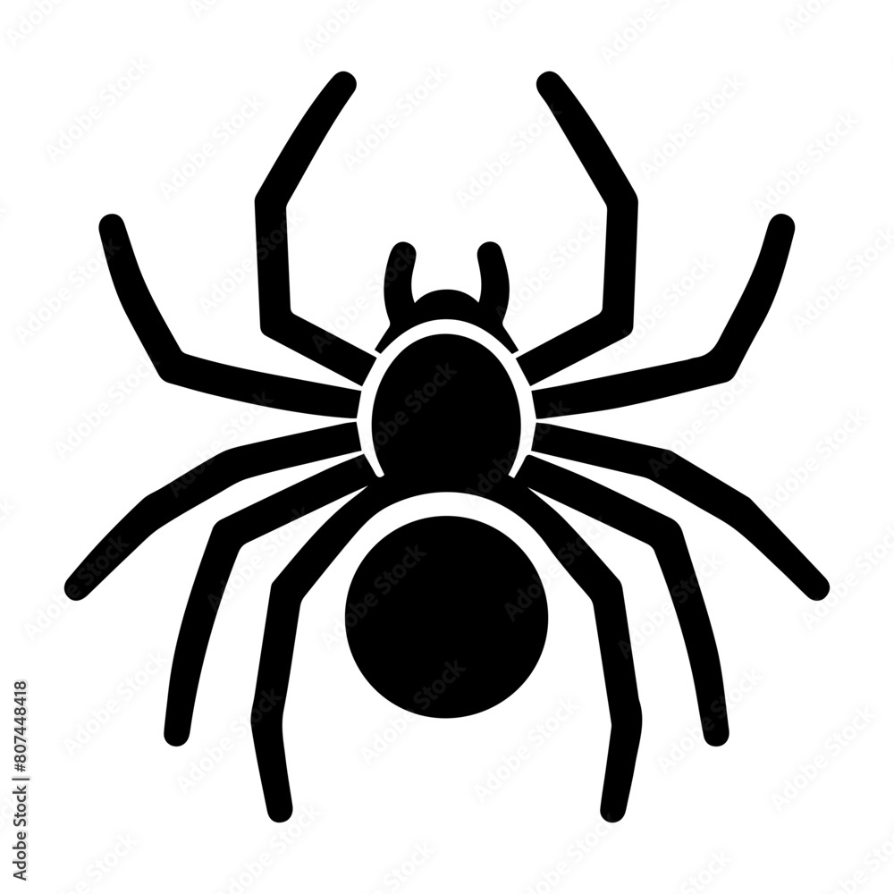 spider icon, spider symbol, vector spider isolated on white spider icon, spider symbol, vector spider isolated on white