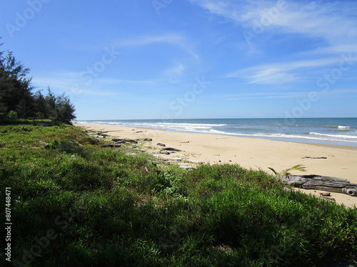 grassy shoreline  sandy beach and gentle seas under blue skies