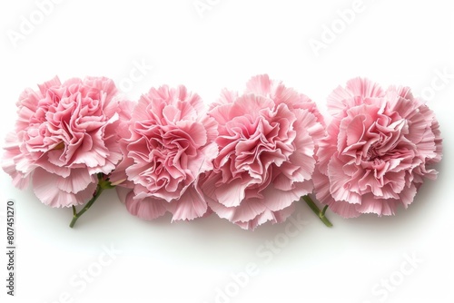 Wallpaper Mural Mother's Day, Happy Mother's Day, Carnations, Mother's Day, Carnations, Happy Mother's Day, Torontodigital.ca