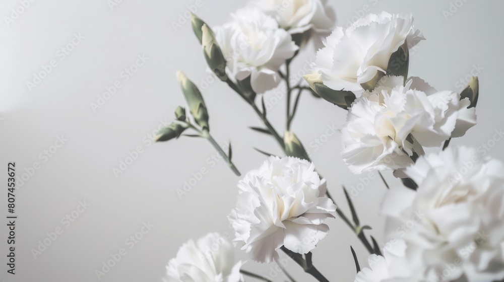 Fototapeta premium Mother's Day, Carnations, Happy Mother's Day,