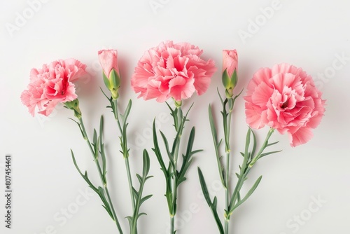 Mother's Day, Carnations, Happy Mother's Day, © SHI