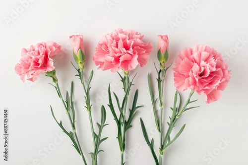 Mother's Day, Carnations, Happy Mother's Day,