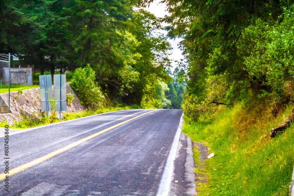 Obraz premium Road through the forest in Mineral del Chico Hidalgo