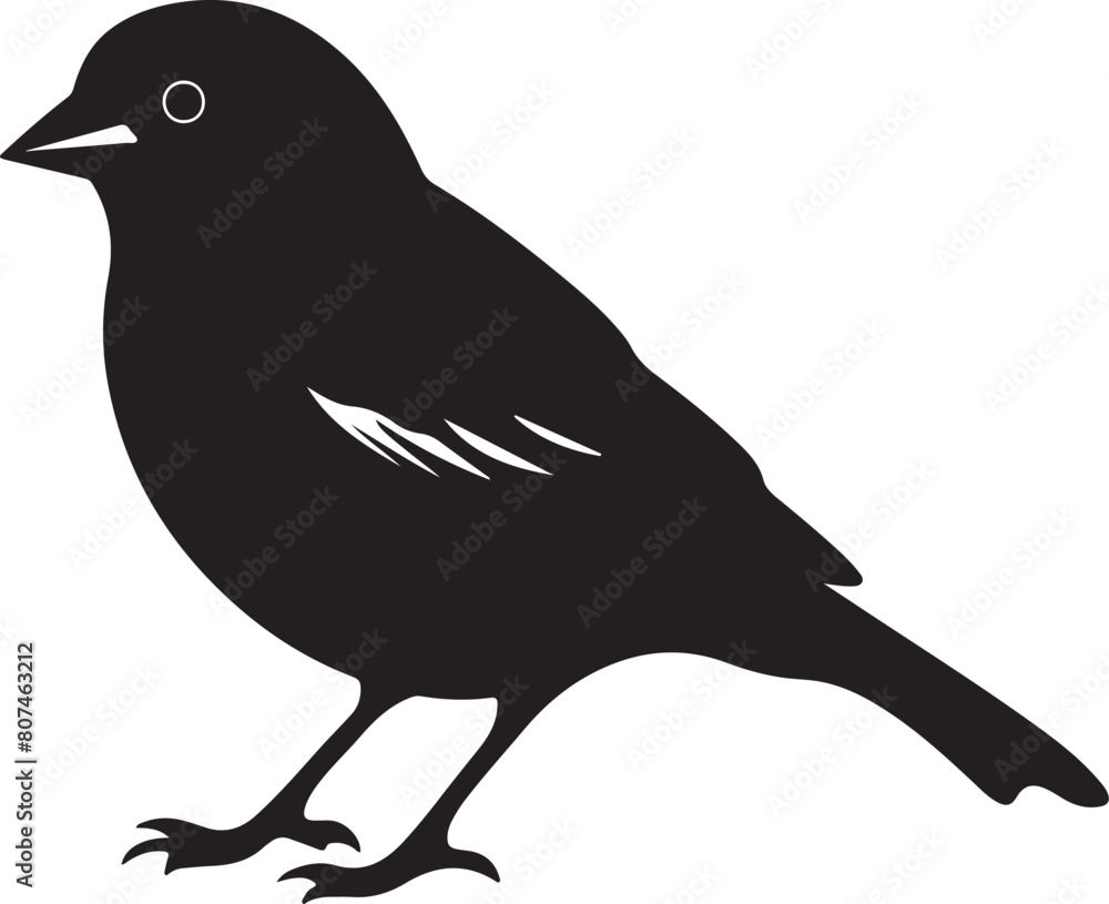 Finch Silhouette Vector Illustration White Background Finch Silhouette Vector Illustration White Background