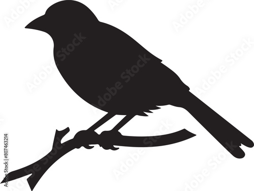 Finch Silhouette Vector Illustration White Background