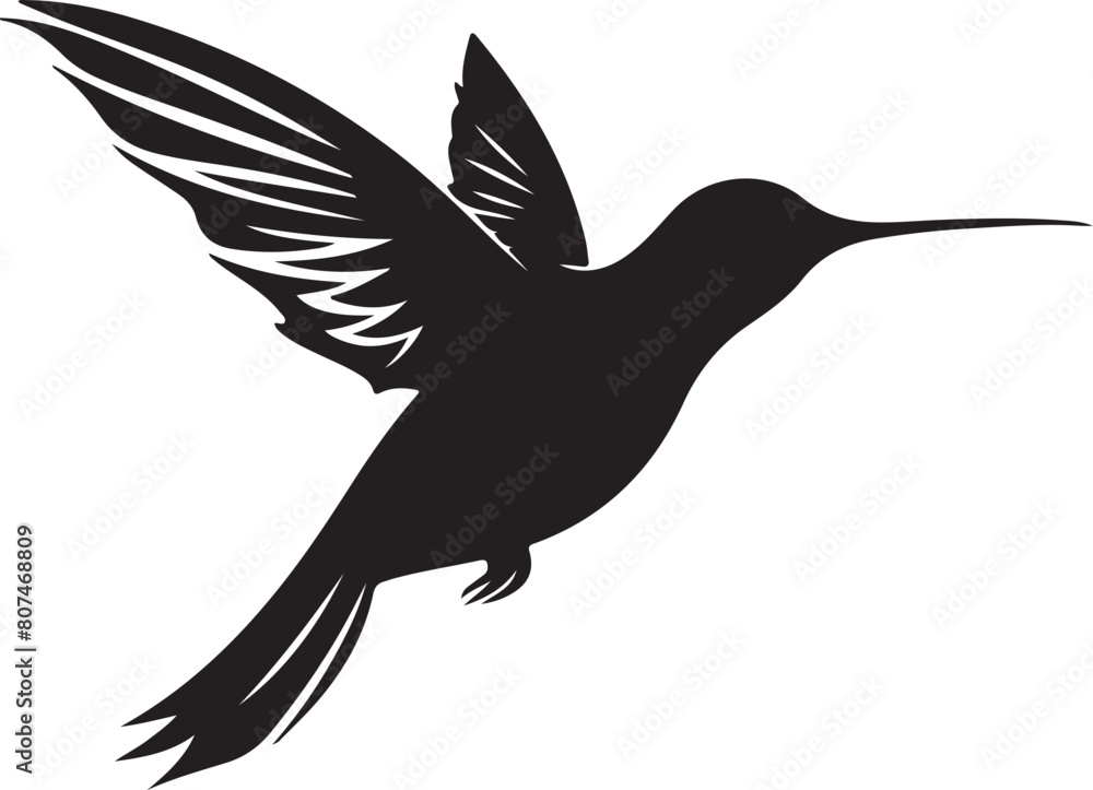 Obraz premium Hummingbird Silhouette Vector Illustration White Background
