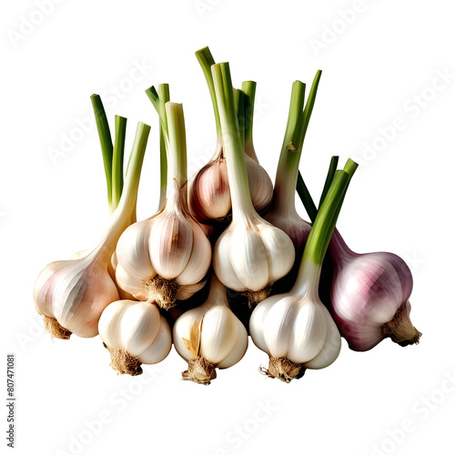 Garlics in the studio shot for a Thai food ingredient. photo