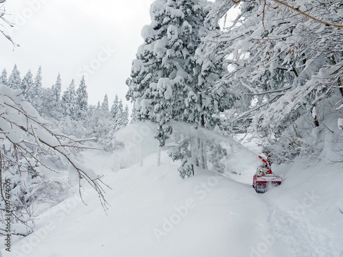 Clearing the Footpath in snow covered winter pine forest with snow blower, deep snowdrifts and countryside , nature of Yamagata, Japan