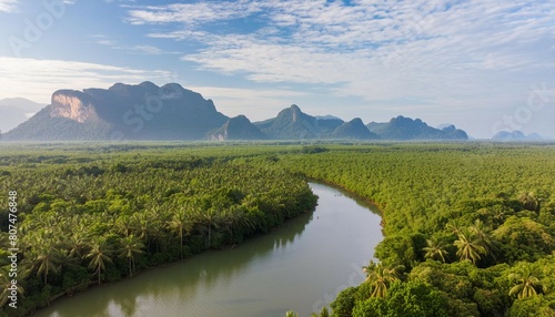 Aerial view of river in tropical green forest with mountains in background