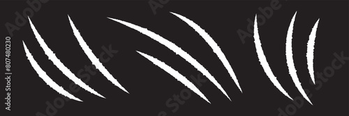 Claw scratch vector illustration. Set of cruel animal scratches horror and grunge concept in silhouette isolated. Animal tiger scratches signs.