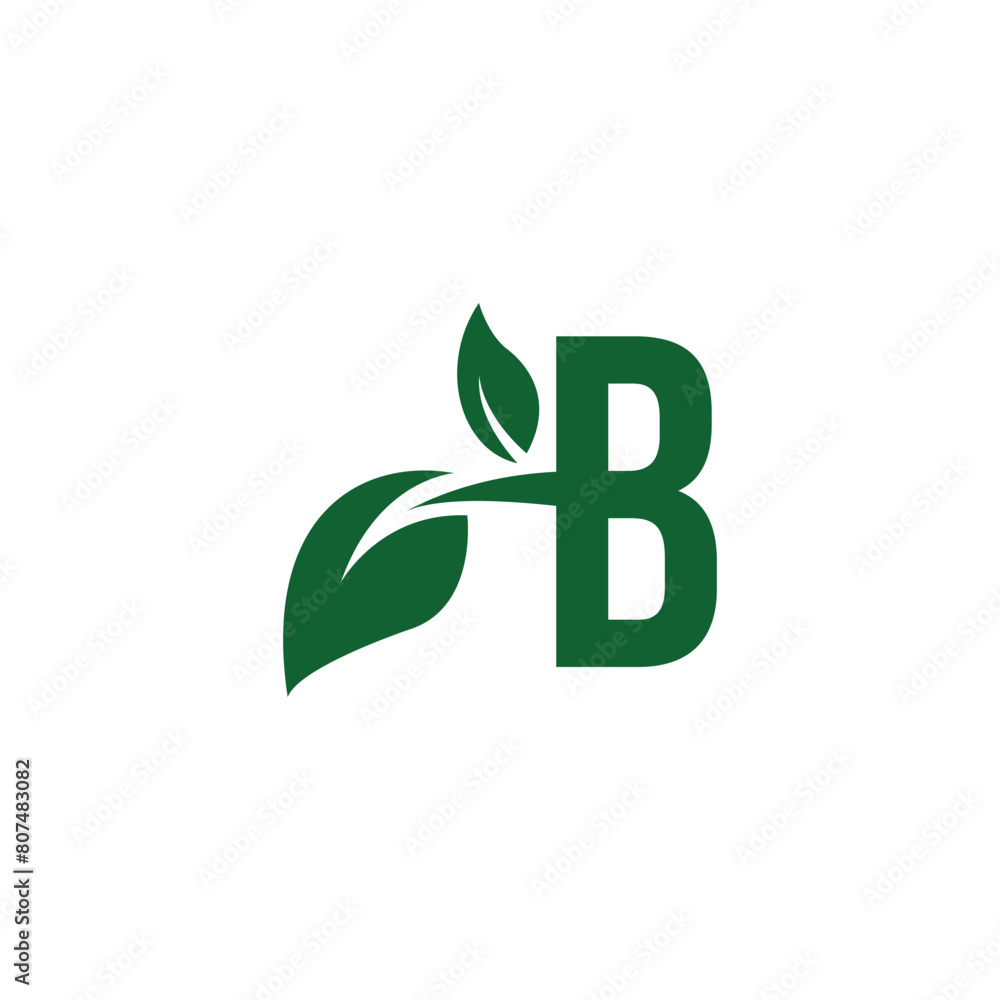 Letter B Leaf logo icon vector template Letter B Leaf logo icon vector template