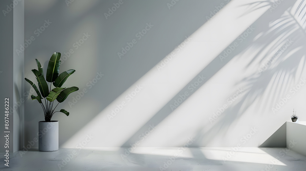 Minimalist photography background Minimalist photography background