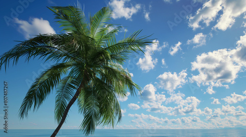 Palm tree swaying in the wind on a bright sunny day