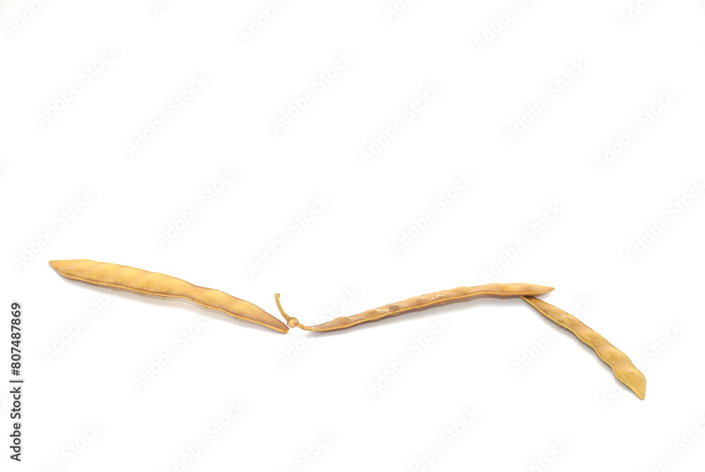 chickpea seeds, cacahuananche, cuaguayote from southern Mexico