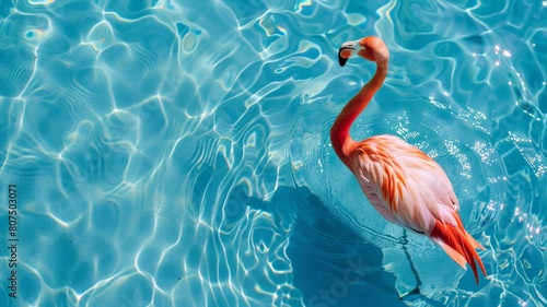 Top view of shadow on pool water surface with a pink flamingo floating in the water. Beautiful abstract background concept banner. photo