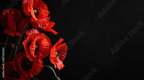 Symbolic tribute red poppies on black, Remembrance Day emblem, Ai Generated photo