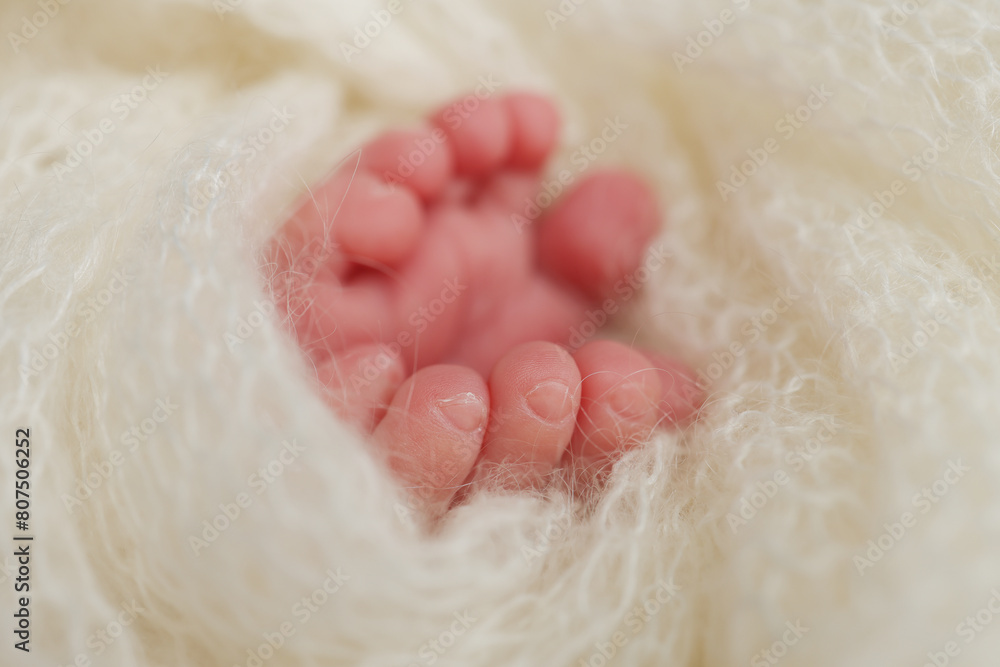 Fototapeta premium The tiny foot of a newborn baby. Soft feet of a new born in a wool white blanket. Close up of toes, heels and feet of a newborn. Macro photography.