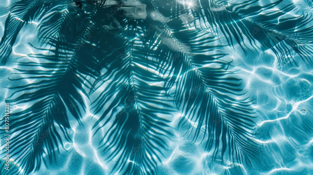 Top view of tropical leaf shadow on pool water surface. Beautiful abstract background concept banner. Top view of tropical leaf shadow on pool water surface. Beautiful abstract background concept banner.